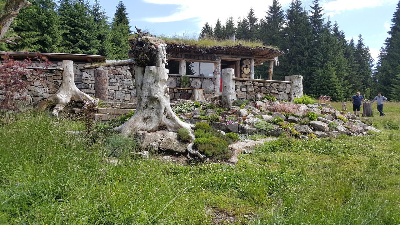 Chata Plesivka Abertamy Exterior foto